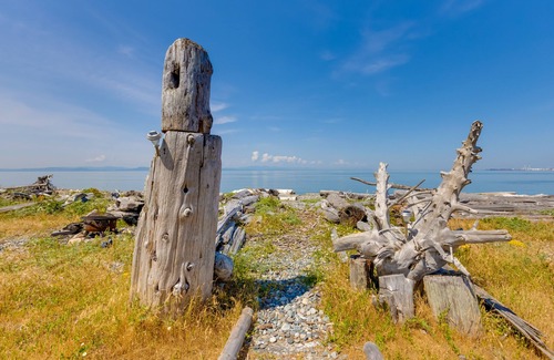 Point Roberts Cottage | Point Roberts Cottage w/Ocean Views + Hot Tub!
