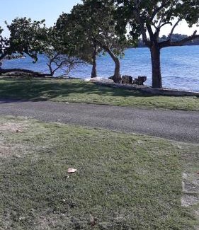 Negril Apartment | Point Village Negril