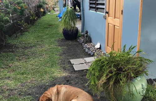 Mahina Bed & Breakfast | Pointe Venus Lodge