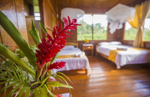 Puerto Maldonado Other | Pokakempi Tours