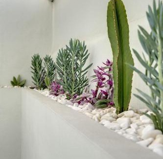 Ermoupoli Apartment | Polis Suite