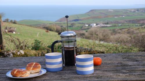 Boscastle Apartment | Polrunny Farm Sloe Cottage with a sea view