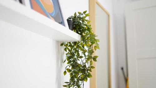 Vonitsa Apartment | Polyteles A