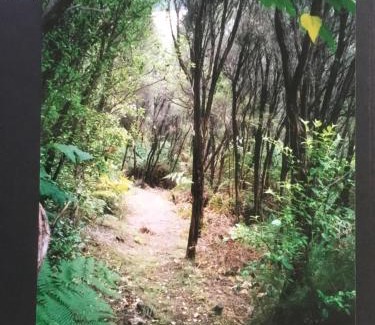 Te Wahapu Ski Chalet | Pomare Beach Chalet