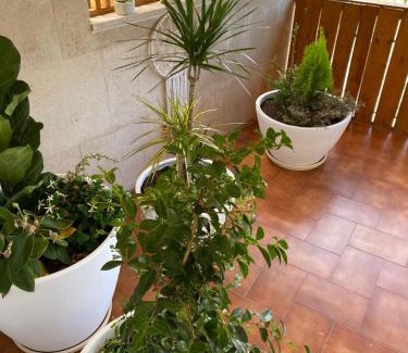 Pombal Apartment | Pombal Suite