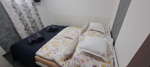 Szeged Apartment | Pompár Magnólia Apartmanok