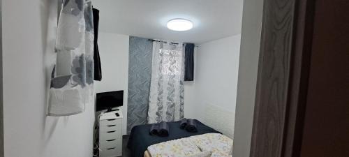 Szeged Apartment | Pompár Magnólia Apartmanok