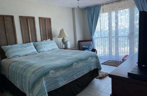 Ponce Inlet Apartment | Ponce Inlet Florida Breathtaking Oceanfront Penthouse Villa!
