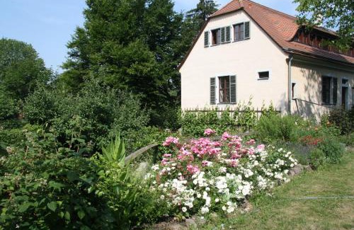 Loschwitz Apartment | Poncet´sches Herrenhaus