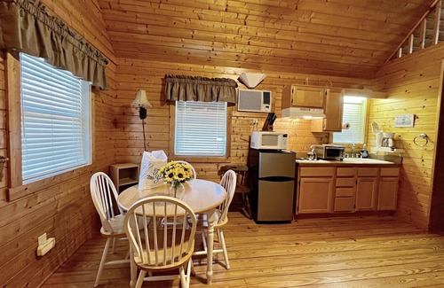 Laurel Springs Cabin | Pond, fireplace, WIFI, No Pets, near Blue Ridge Parkway