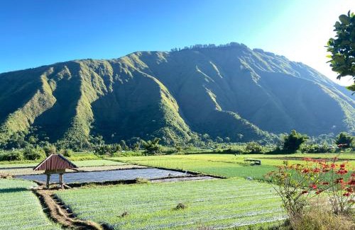 Kecamatan Sembalun Hotel | Pondok Arum Rinjani