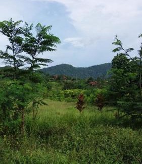 Sidemen Cabin | Pondok Masa Depan