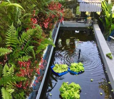 Batunya House | Pondok Plantation, Mountain Villa Escape Bedugul