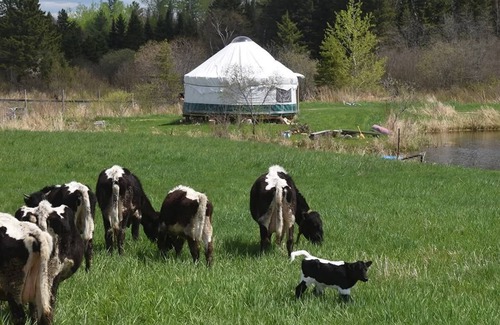 Powassan Cabin | Pondside Yurt Stay on a Heritage Farm with Trails, Sauna & Scenic Views