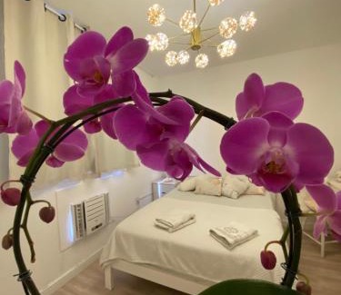 Recreio dos Bandeirantes Apartment | Pontal Beach Loft