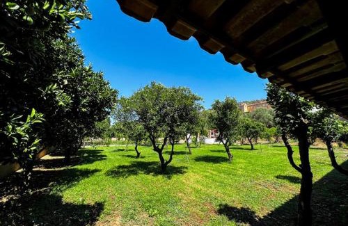 Silves House | Ponte Romana