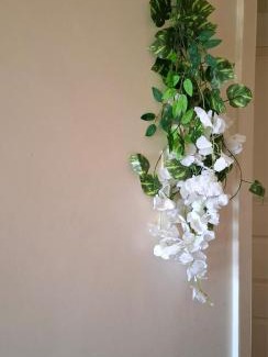 Eldoret Apartment | Ponton Stays