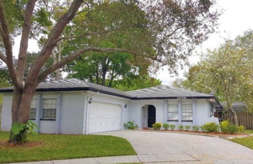 Carrollwood House | Pool home ⭐ Premier Partner