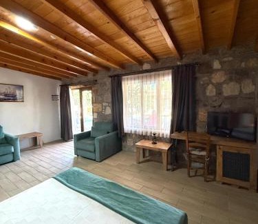 Ayvalik Apartment | Poolside Family Stone Studio and Breakfast Included
