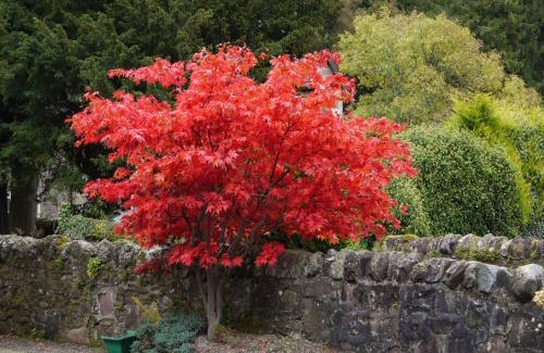 Callander Bed & Breakfast | Poppies Hotel