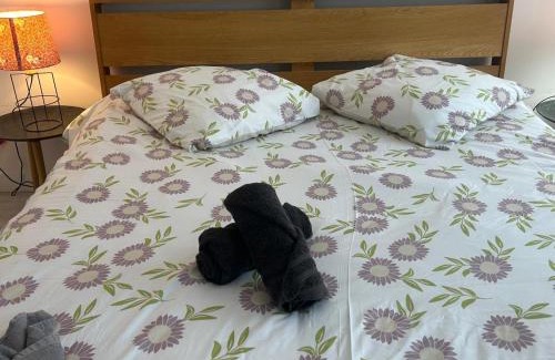 Saint-Maurice Pellevoisin Apartment | Poppy-Ideally located, Next station,Gd Palais&City