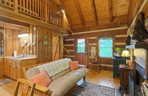 Townsend Cabin | Porch Swing, Jacuzzi Tub, Wi-Fi, Dogs ok, near NP