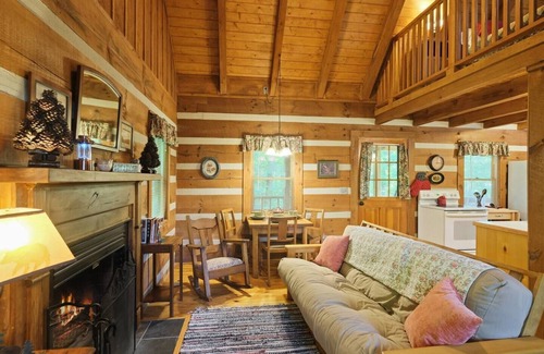 Townsend Cabin | Porch Swing, Jacuzzi Tub, Wi-Fi, Dogs ok, near NP