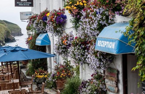 Port Gaverne Hotel | Port Gaverne Hotel