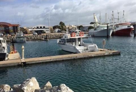 Port Lincoln Apartment | Port Lincoln Shark Apartment 3