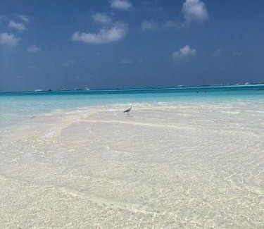 Dhiffushi Hotel | Portia Hotel & Spa