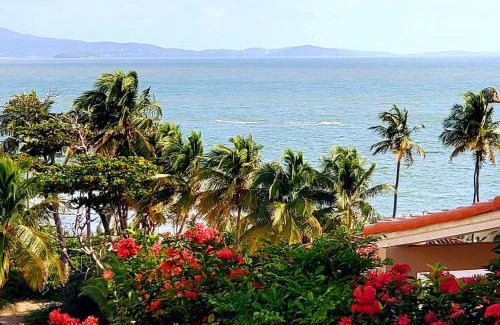 Candelero Abajo Apartment | Portobello Palmanova, Palmas del Mar, Humacao, PR