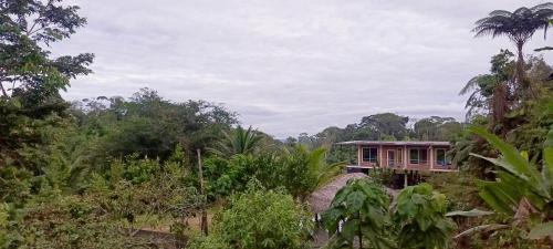 Tena Apartment | Posadas Mari