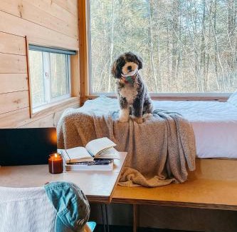 Catskill Other | Postcard Cabins Eastern Catskills