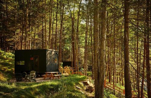 Glenwood Other | Postcard Cabins Mount Adams