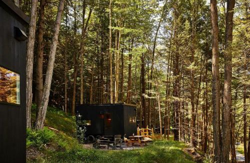 Pine River Other | Postcard Cabins Wild Rose