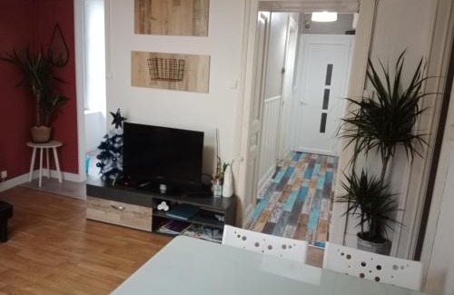 Luxeuil-les-Bains Apartment | Pounette, appartement T3 centre/thermes Luxeuil