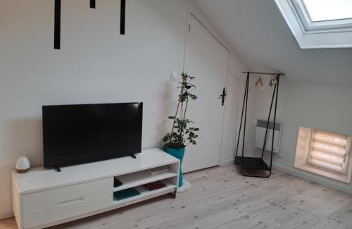 Luxeuil-les-Bains Apartment | Pounette, appartement T2, centre thermes Luxeuil