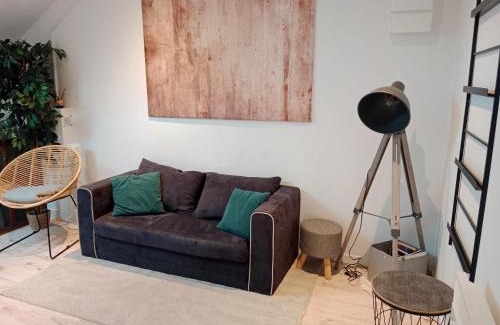 Luxeuil-les-Bains Apartment | Pounette, appartement T2, centre thermes Luxeuil