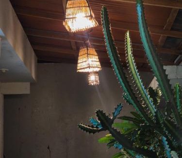 Barreirinhas House | Pousada Cactus