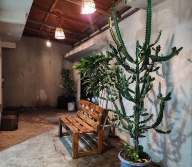 Barreirinhas House | Pousada Cactus