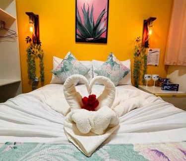 Tamandare House | Pousada Dona Felicidade Carneiros