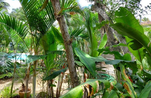 Porto Belo Hotel | Pousada Imperial