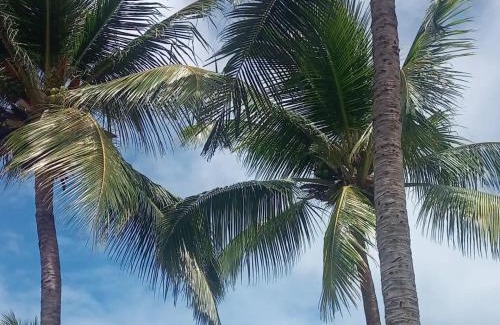 Tamandare Bed & Breakfast | Pousada PARAMBUCO