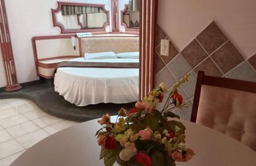 Areado Hotel | Pousada Recanto das Palmeiras
