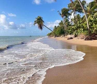 Porto de Pedras Hotel | Pousada Sunshine Patacho Rota Ecológica dos Milagres Porto de Pedras