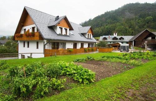 Bled House | Pr Anzl