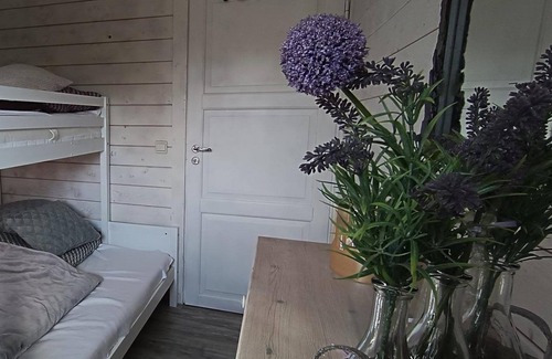Wilsum Cabin | Prachtig Uitzicht met Terras op het Zuiden