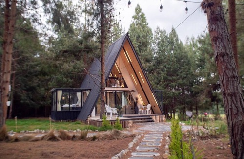 Loja House | Prado Glamping En una Hacienda Ganadera y Rodeado de un Bosque de Pino