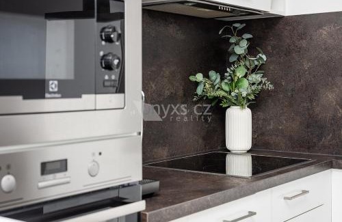 Letnany Apartment | Praha Letňany 168 s parkováním v garáži zdarma