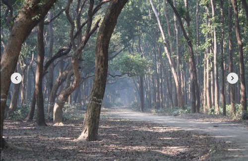Puranpur House | Prahlad Homestay
